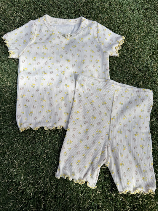 Sunny set